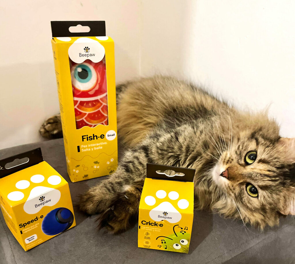 imagen-gato-productos-beepaw