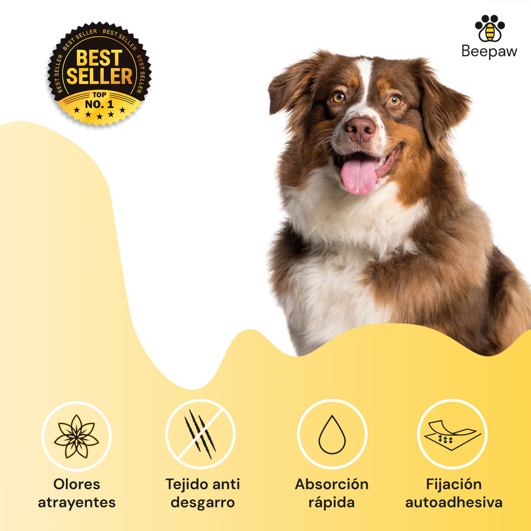 PAÑO DE ENTRENAMIENTO PARA PERRO BEEPAW TRAIN-E MEDIUM 60*60CM X 40 UNIDADES - Imagen 3