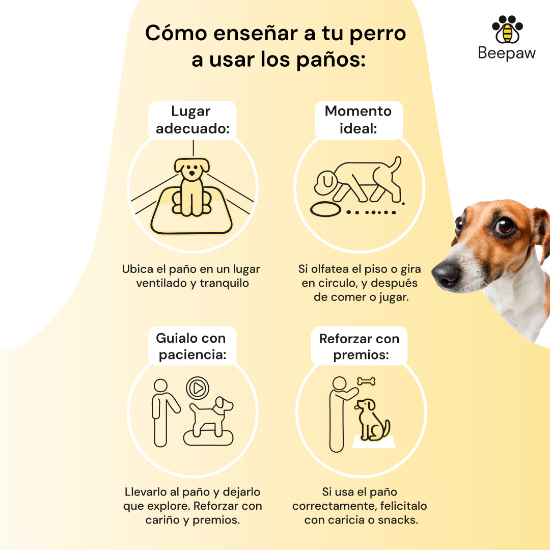 PAÑO DE ENTRENAMIENTO PARA PERRO BEEPAW TRAIN-E BIG 60*90 CM X 20 UNIDADES - Imagen 6