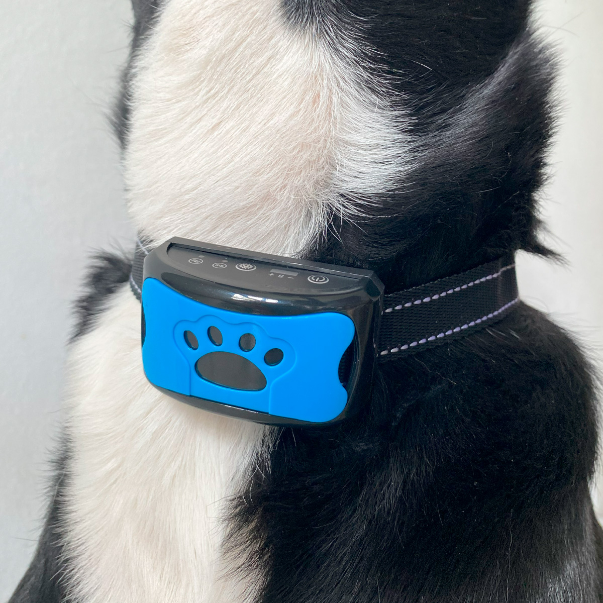 COLLAR ENTRENADOR PARA PERROS ANTI LADRIDO CON BATERIA AZUL - Imagen 3