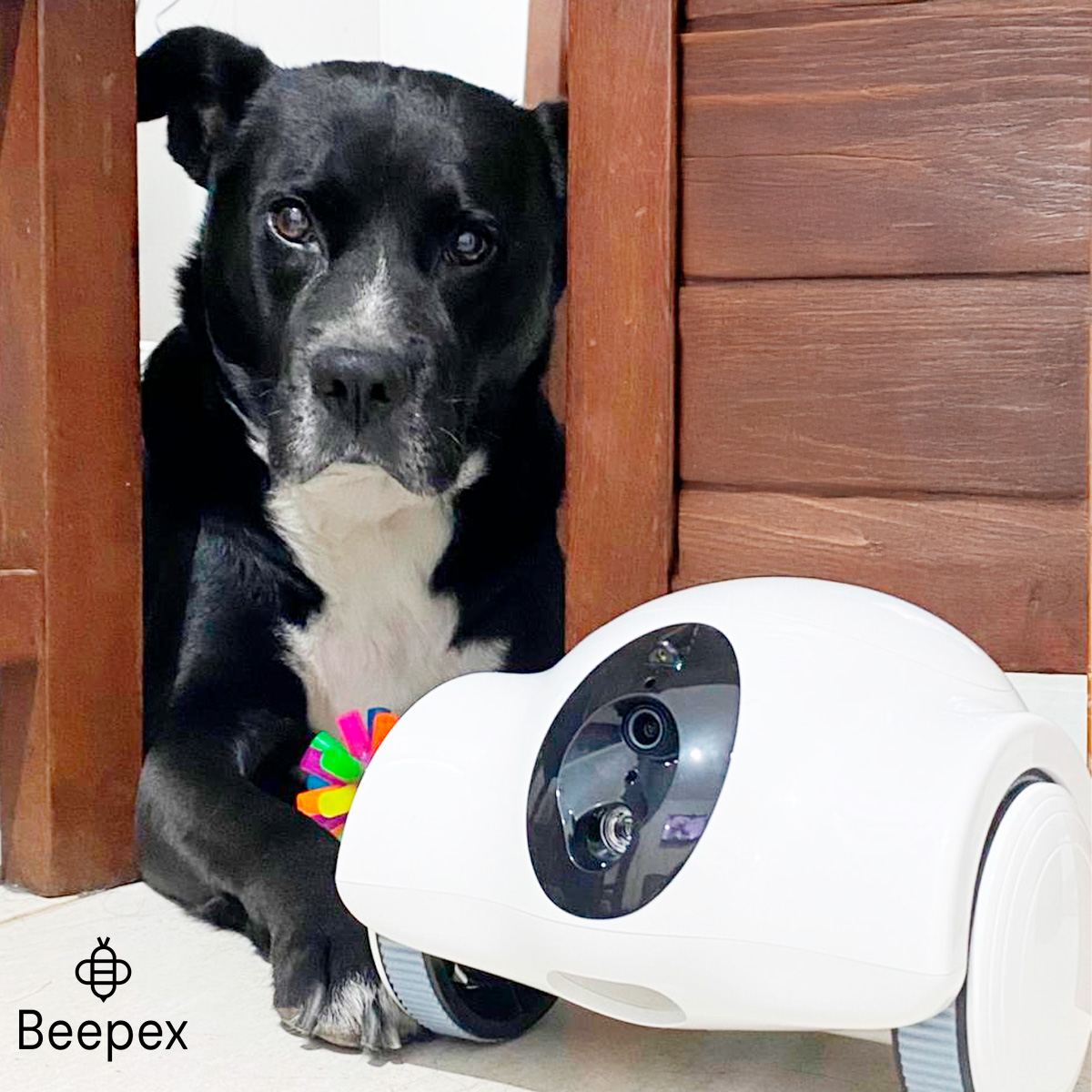 JUGUETE ROBOT CON CAMARA Y MANDO A DISTANCIA CON DISPENSER DE COMIDA BLANCO - Imagen 5